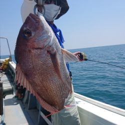 だて丸 釣果