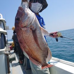 だて丸 釣果