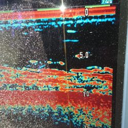 金沢八景鴨下丸 釣果