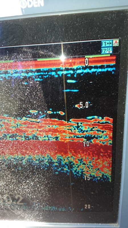 金沢八景鴨下丸 釣果