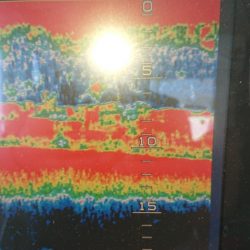 金沢八景鴨下丸 釣果