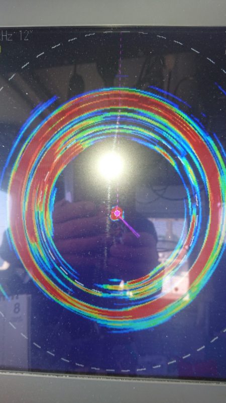 金沢八景鴨下丸 釣果