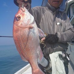 だて丸 釣果