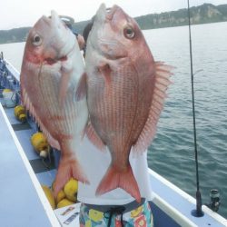 新幸丸 釣果