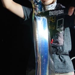 シースナイパー海龍 釣果