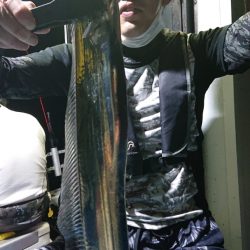 シースナイパー海龍 釣果