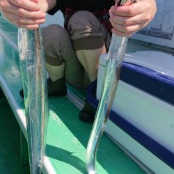 金沢八景鴨下丸 釣果