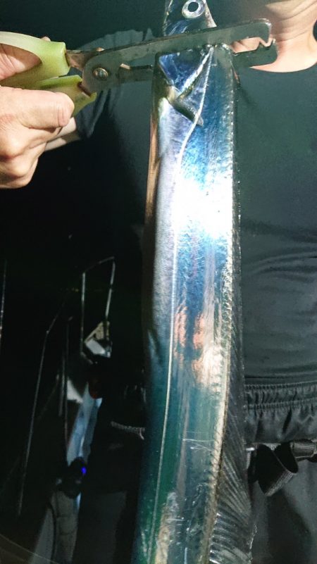 シースナイパー海龍 釣果