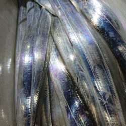 シースナイパー海龍 釣果