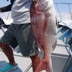 だて丸 釣果
