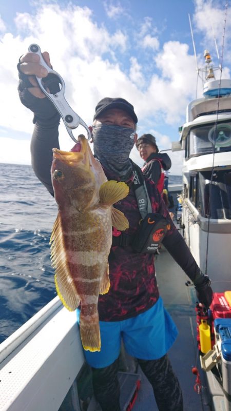だて丸 釣果