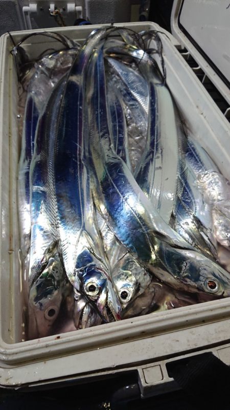 シースナイパー海龍 釣果