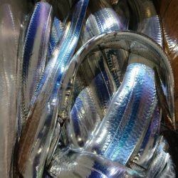 シースナイパー海龍 釣果