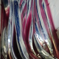 シースナイパー海龍 釣果