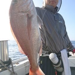 だて丸 釣果