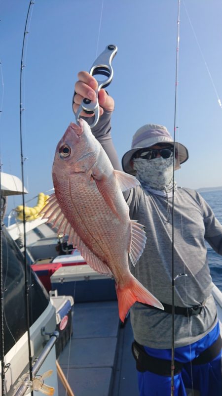 だて丸 釣果