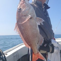 だて丸 釣果