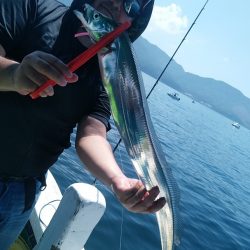 小島丸 釣果
