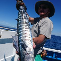 第三共栄丸 釣果