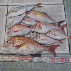 チャモロ 釣果