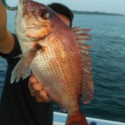 新幸丸 釣果