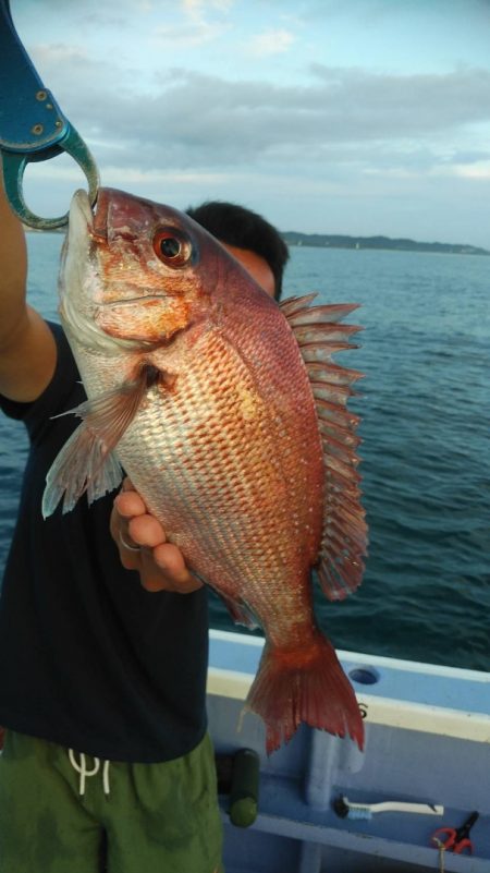 新幸丸 釣果