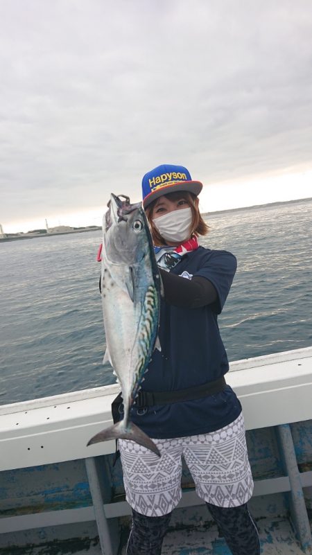 だて丸 釣果