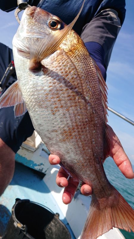 シースナイパー海龍 釣果