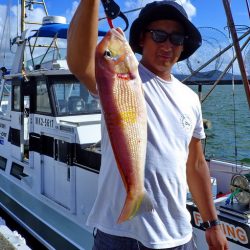 Big One ビッグワン 釣果