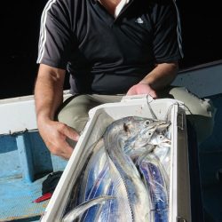 シースナイパー海龍 釣果