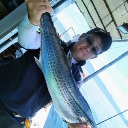 小島丸 釣果