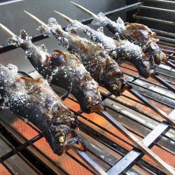 平谷湖フィッシングスポット 釣果