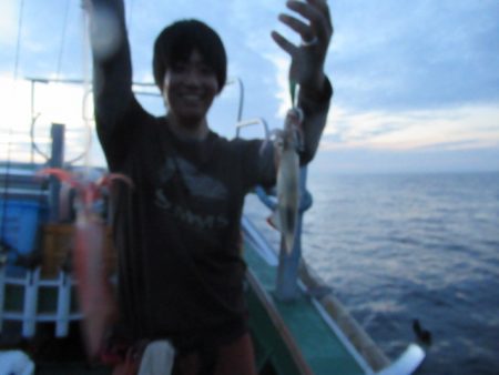 真祐丸 (しんゆうまる) 釣果