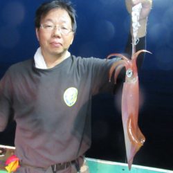 真祐丸 （しんゆうまる） 釣果