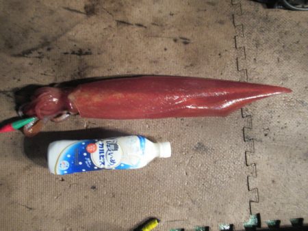 真祐丸 （しんゆうまる） 釣果