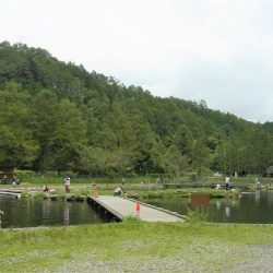 平谷湖フィッシングスポット 釣果