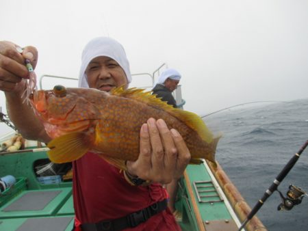 真祐丸 (しんゆうまる) 釣果
