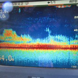 真祐丸 （しんゆうまる） 釣果