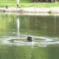 平谷湖フィッシングスポット 釣果
