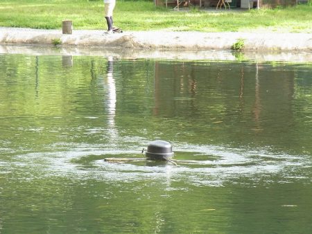 平谷湖フィッシングスポット 釣果