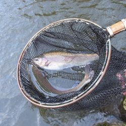 平谷湖フィッシングスポット 釣果