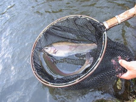 平谷湖フィッシングスポット 釣果