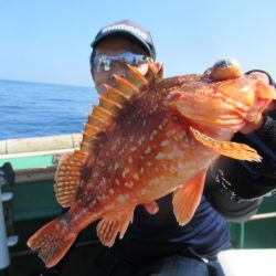 真祐丸 (しんゆうまる) 釣果