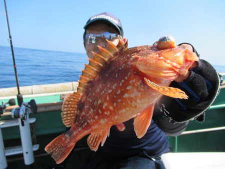 真祐丸 (しんゆうまる) 釣果