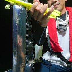 シースナイパー海龍 釣果