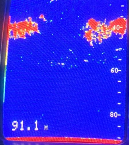 あみや渡船 JIGBOY 釣果