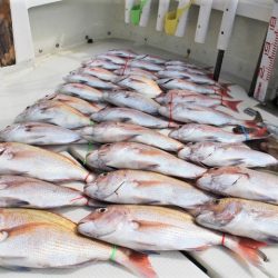 KIM Fishing Guide Service 釣果