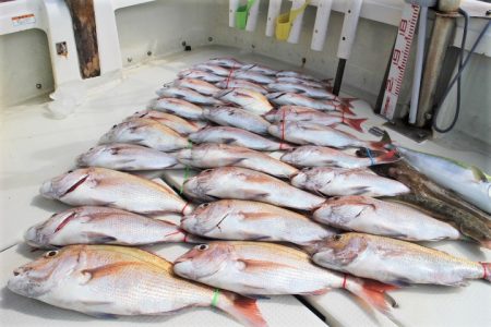 KIM Fishing Guide Ser…