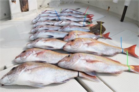 KIM Fishing Guide Ser…