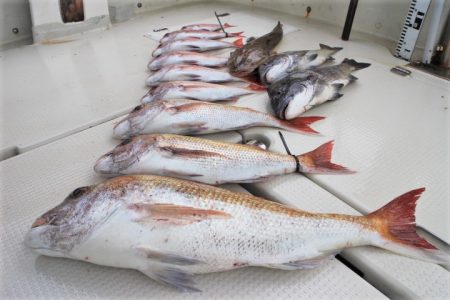 KIM Fishing Guide Ser…